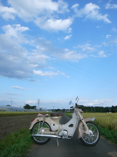 c2cub.jpg