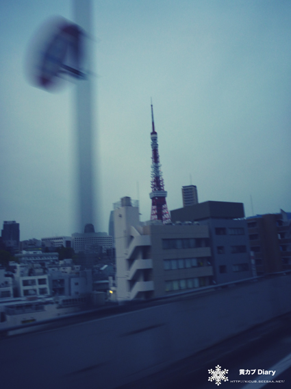 10_tadaimatower.jpg