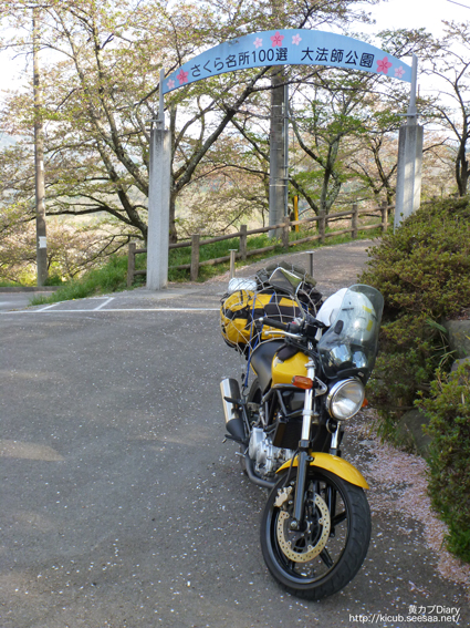 1_daihoushipark.jpg