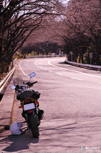 1_tttpfeb2011.jpg