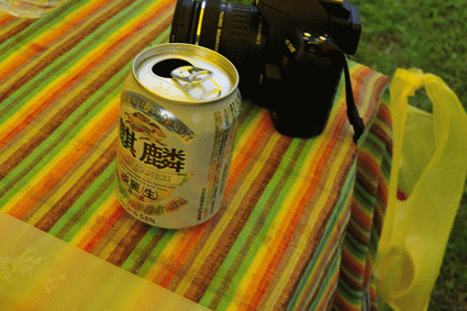 20100910-232445-46257300.gif