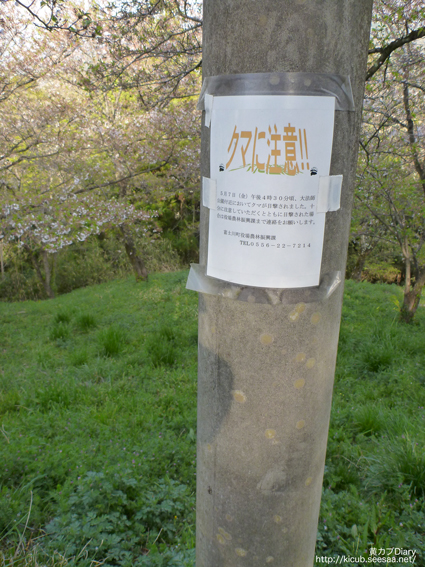 5_kumachuikofu.jpg