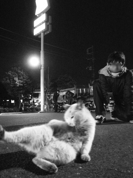aomuke_cat.jpg