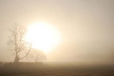 gozenyama_morning.jpg