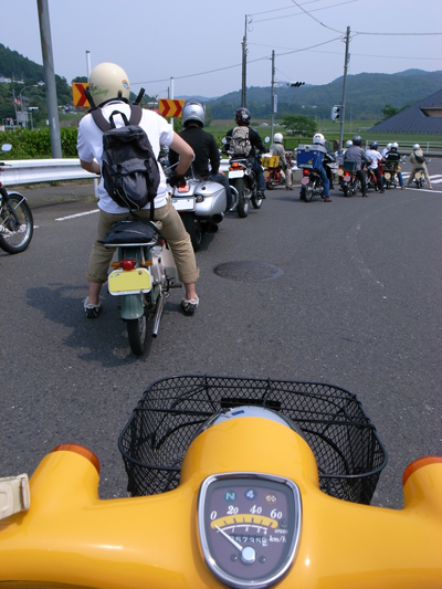 ibarakidecub.jpg