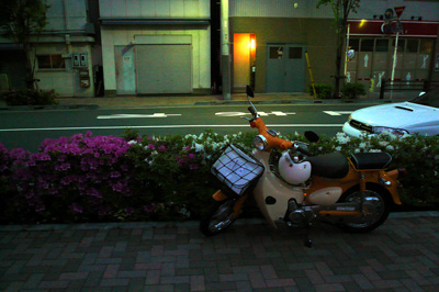 jinbocho0505.jpg
