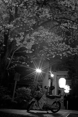sakura_takuzou.jpg