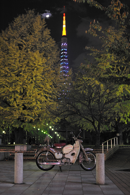 shiba_ttower.jpg