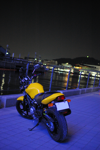 view_o_vtr.jpg