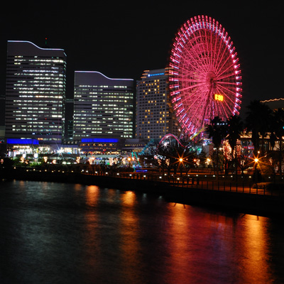 yoko_yakei_1212.jpg